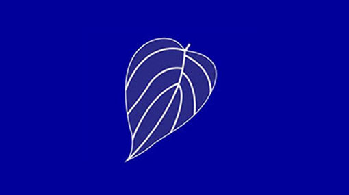 UPFA ministers and MPs meet President for talks