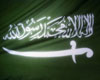 Saudi official denies Sri Lankan maid was abused