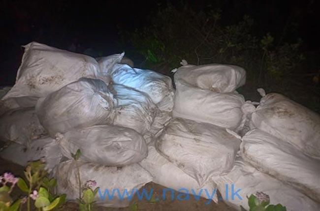Over 939 kg of Beedi leaves found by Navy