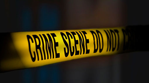 Probe launched after married couple found hacked to death