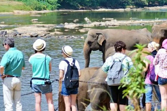 Sri Lanka records 1.9 Mn tourists in 2019