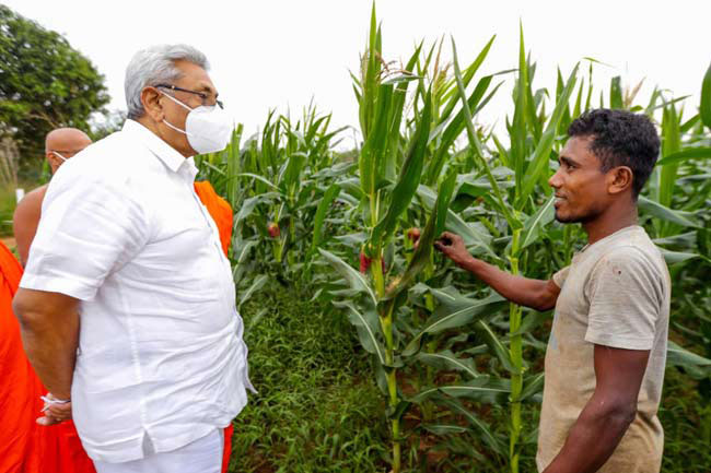 President inspects damages caused by Fall Armyworm