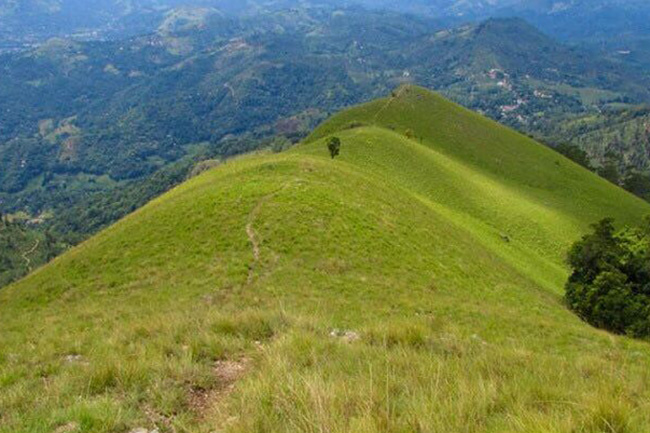 Hiking Narangala mountain range banned until further notice
