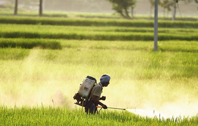 Cabinet approval to import Nano Nitrogen liquid fertilizer