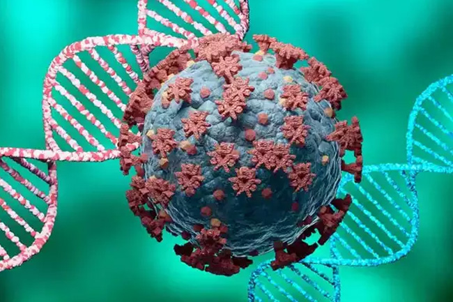 New highly mutated COVID variant in South Africa raises concerns