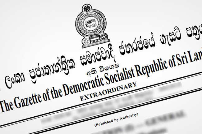 Sale of rice or paddy for animal feed production banned from today