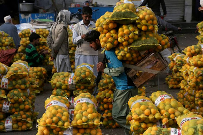 Rising prices, food insecurity add to ranks of hungry: UN agencies