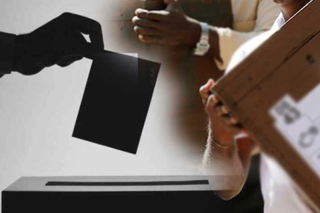 20 cases of interference related to upcoming LG election