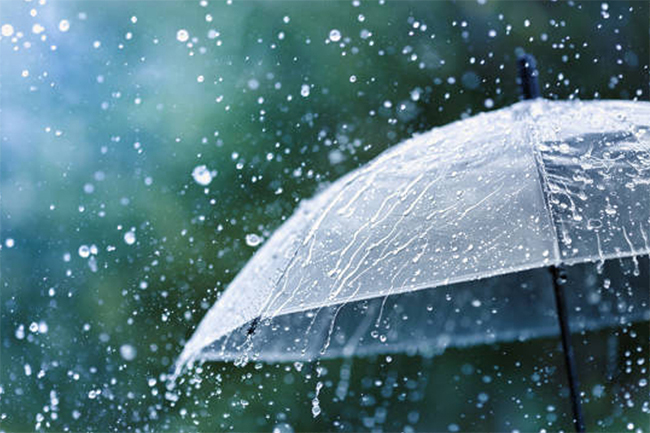 Showers or thundershowers expected later today