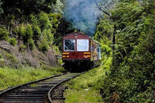 Derailment disrupts train services on up-country line
