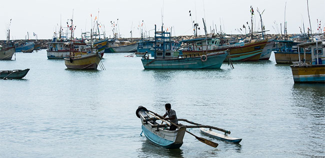 Cabinet approves monthly allowance for small fishing boat owners