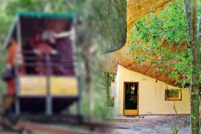 Seven Buddhist monks reported dead in cable car accident at Na Uyana Monastery