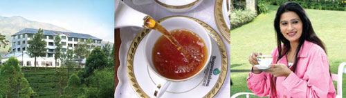 Bogawantalawa – The best place to have a Cuppa
