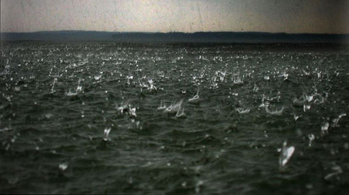 Showers, thundershowers in sea areas